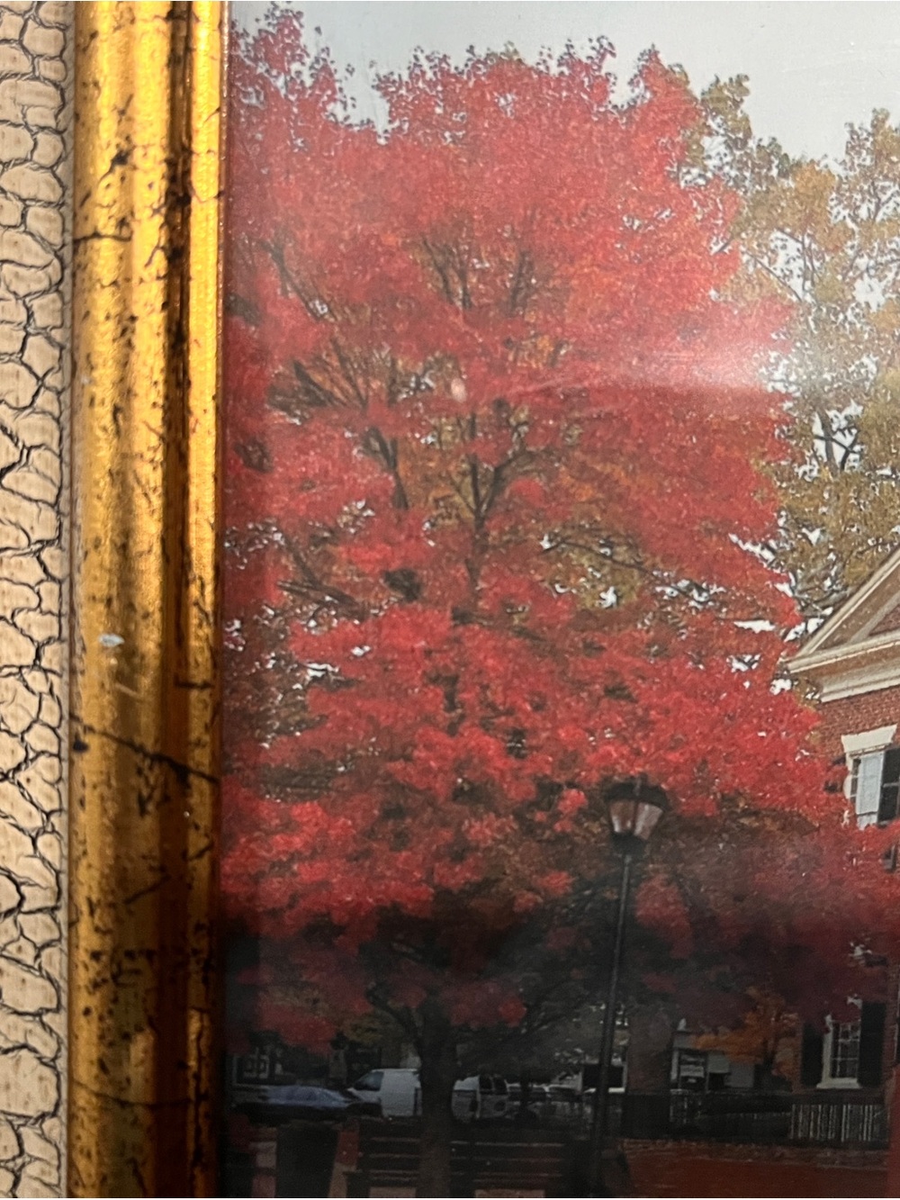 Framed Autumn Dahlonegs Gold Museum Print with Gold Crackle Frame - Picture 3 of 6
